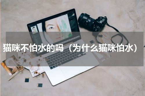 猫咪不怕水的吗（为什么猫咪怕水）