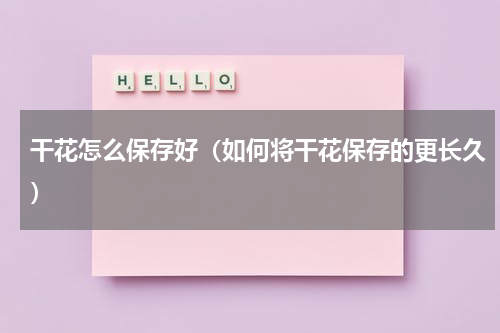 干花怎么保存好（如何将干花保存的更长久）