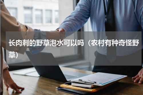 长肉刺的野草泡水可以吗（农村有种奇怪野草）