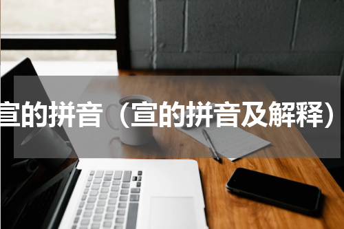 宣的拼音（宣的拼音及解释）