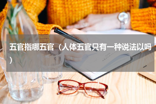 五官指哪五官（人体五官只有一种说法以吗）