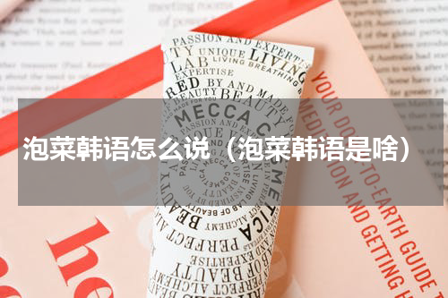 泡菜韩语怎么说（泡菜韩语是啥）