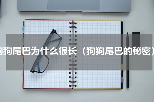 狗狗尾巴为什么很长（狗狗尾巴的秘密）