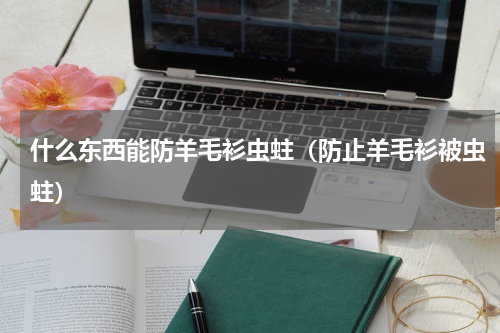 什么东西能防羊毛衫虫蛀（防止羊毛衫被虫蛀）