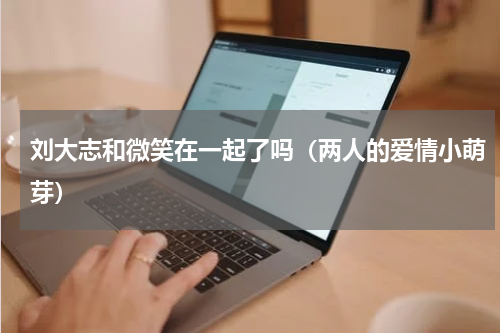 刘大志和微笑在一起了吗（两人的爱情小萌芽）