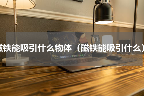 磁铁能吸引什么物体（磁铁能吸引什么）