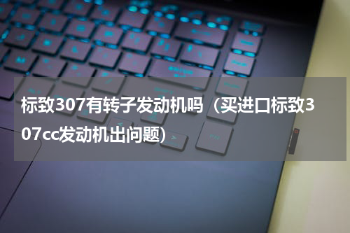 标致307有转子发动机吗（买进口标致307cc发动机出问题）