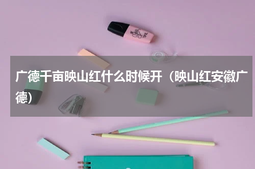 广德千亩映山红什么时候开（映山红安徽广德）