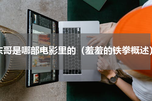 东哥是哪部电影里的（羞羞的铁拳概述）