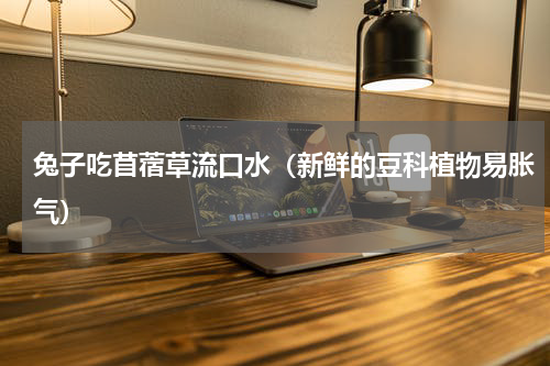 兔子吃苜蓿草流口水（新鲜的豆科植物易胀气）