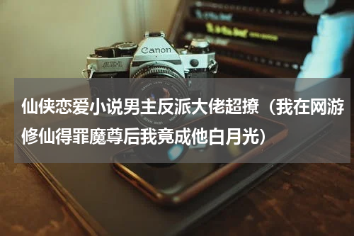 仙侠恋爱小说男主反派大佬超撩（我在网游修仙得罪魔尊后我竟成他白月光）