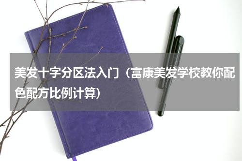 美发十字分区法入门（富康美发学校教你配色配方比例计算）