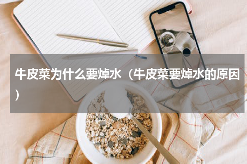 牛皮菜为什么要焯水（牛皮菜要焯水的原因）