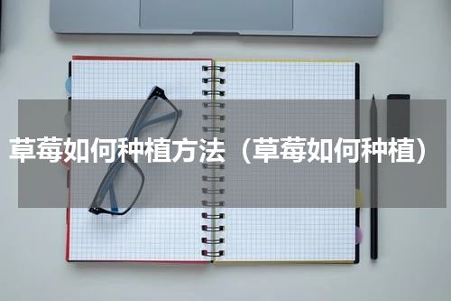 草莓如何种植方法（草莓如何种植）