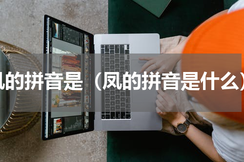 凤的拼音是（凤的拼音是什么）