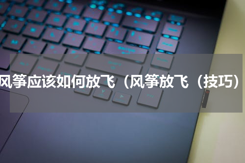风筝应该如何放飞（风筝放飞（技巧）