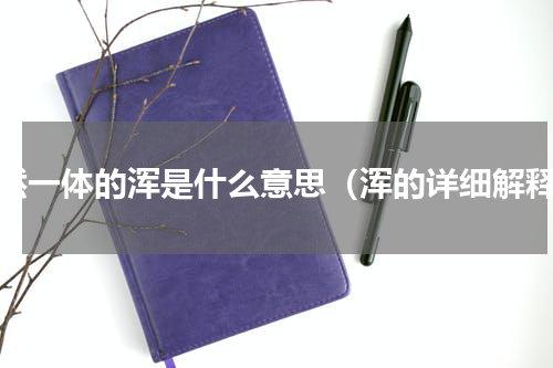 浑然一体的浑是什么意思（浑的详细解释）