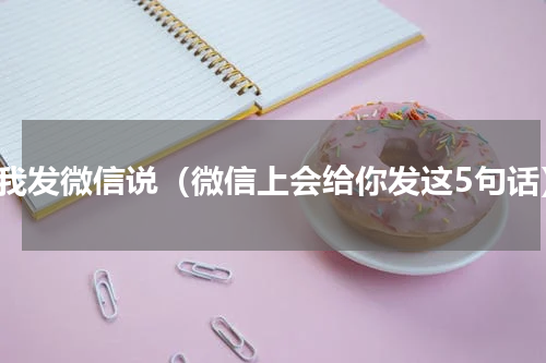 给我发微信说（微信上会给你发这5句话）
