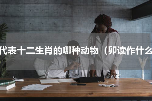 卯代表十二生肖的哪种动物（卯读作什么）