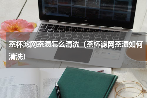 茶杯滤网茶渍怎么清洗（茶杯滤网茶渍如何清洗）
