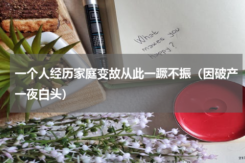 一个人经历家庭变故从此一蹶不振（因破产一夜白头）