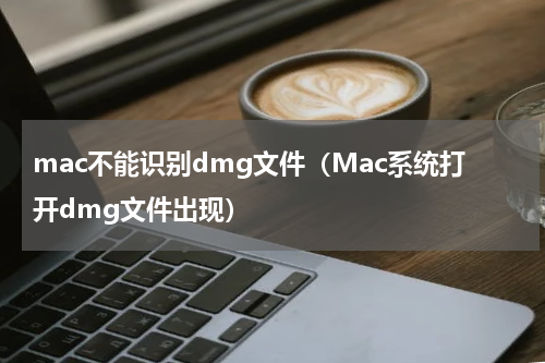mac不能识别dmg文件（Mac系统打开dmg文件出现）