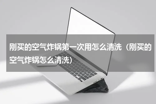 刚买的空气炸锅第一次用怎么清洗（刚买的空气炸锅怎么清洗）