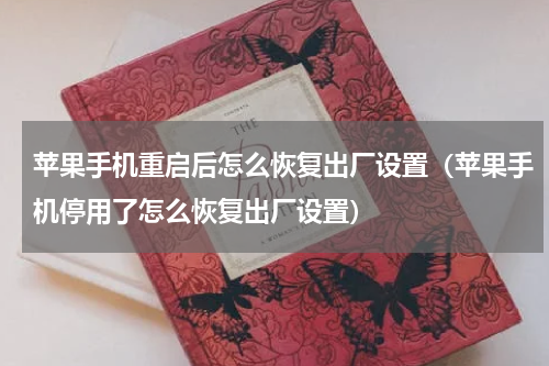 苹果手机重启后怎么恢复出厂设置（苹果手机停用了怎么恢复出厂设置）