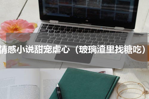 情感小说甜宠虐心（玻璃渣里找糖吃）