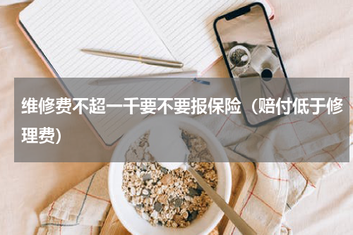 维修费不超一千要不要报保险（赔付低于修理费）