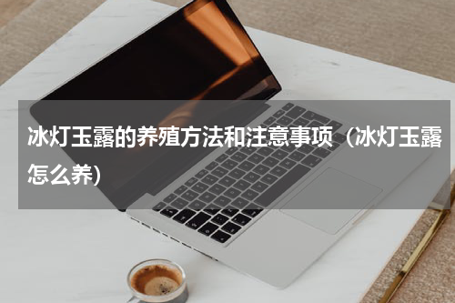 冰灯玉露的养殖方法和注意事项（冰灯玉露怎么养）