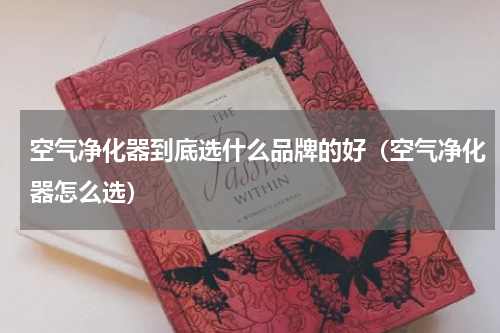 空气净化器到底选什么品牌的好（空气净化器怎么选）