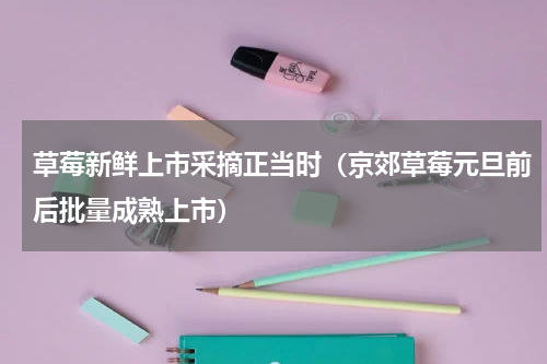 草莓新鲜上市采摘正当时（京郊草莓元旦前后批量成熟上市）