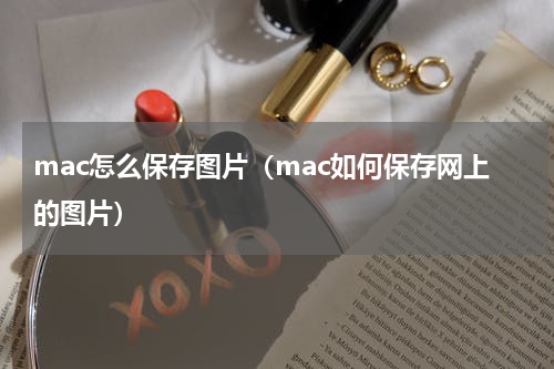 mac怎么保存图片（mac如何保存网上的图片）