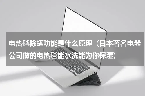 电热毯除螨功能是什么原理（日本著名电器公司做的电热毯能水洗能为你保湿）