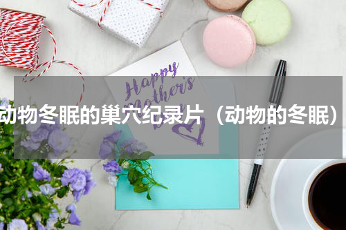 动物冬眠的巢穴纪录片（动物的冬眠）