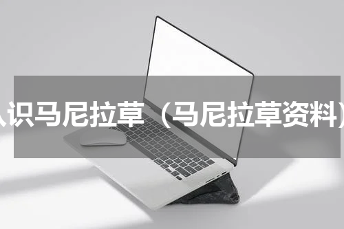 认识马尼拉草（马尼拉草资料）