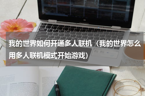 我的世界如何开通多人联机（我的世界怎么用多人联机模式开始游戏）