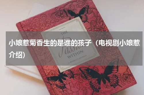 小娘惹菊香生的是谁的孩子（电视剧小娘惹介绍）