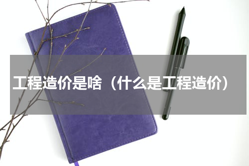 工程造价是啥（什么是工程造价）