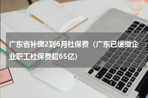 广东省补缴2到6月社保费（广东已缓缴企业职工社保费超65亿）