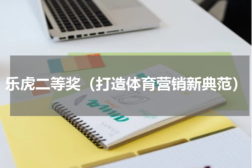 乐虎二等奖（打造体育营销新典范）