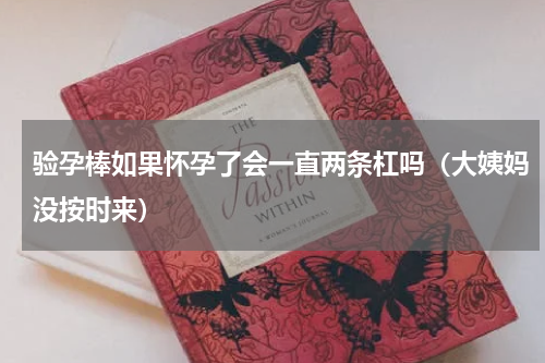 验孕棒如果怀孕了会一直两条杠吗（大姨妈没按时来）