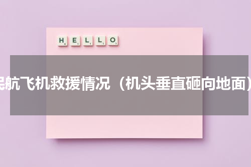 民航飞机救援情况（机头垂直砸向地面）
