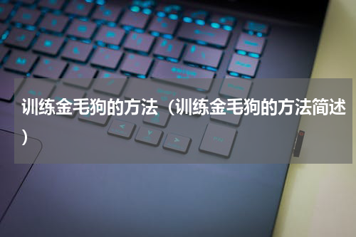 训练金毛狗的方法（训练金毛狗的方法简述）