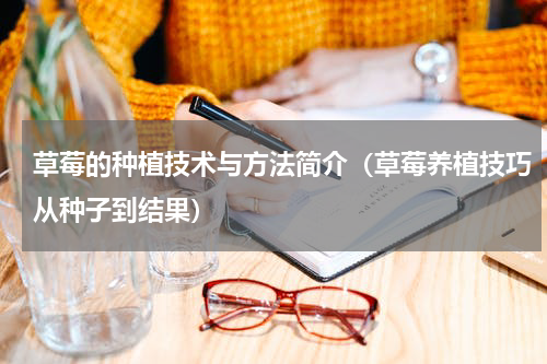 草莓的种植技术与方法简介（草莓养植技巧从种子到结果）