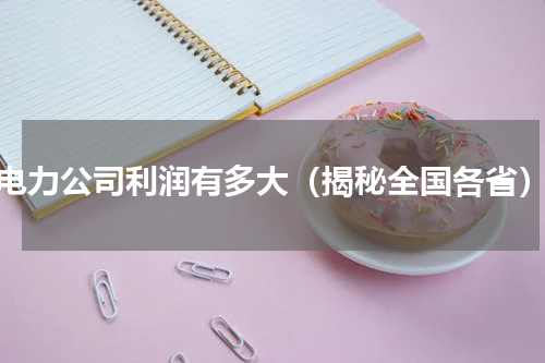 电力公司利润有多大（揭秘全国各省）