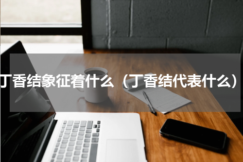 丁香结象征着什么（丁香结代表什么）