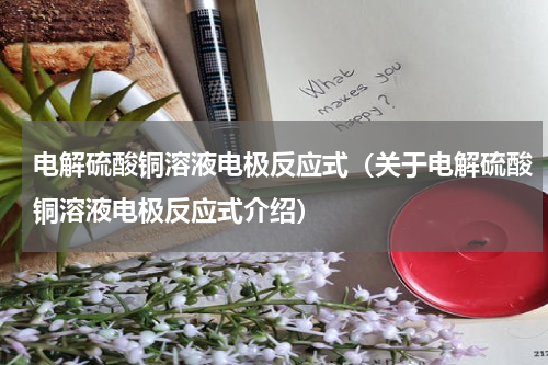 电解硫酸铜溶液电极反应式（关于电解硫酸铜溶液电极反应式介绍）
