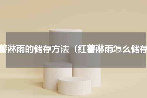 红薯淋雨的储存方法（红薯淋雨怎么储存）